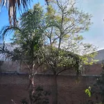 Posada Hortencia