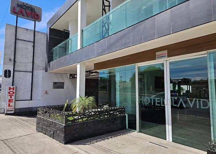 Hotel LaVid