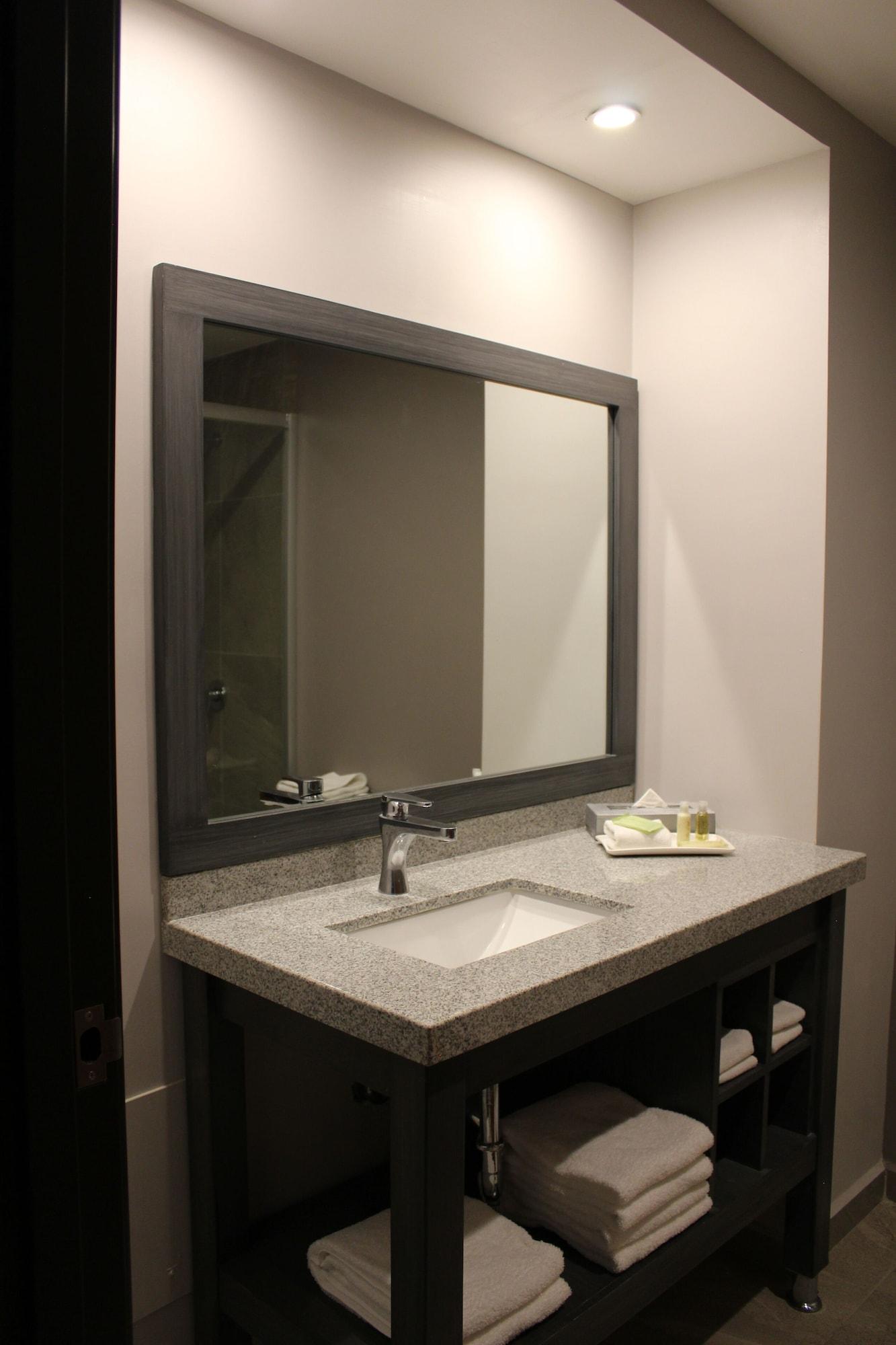 Hotel La Quinta By Wyndham Aguascalientes
