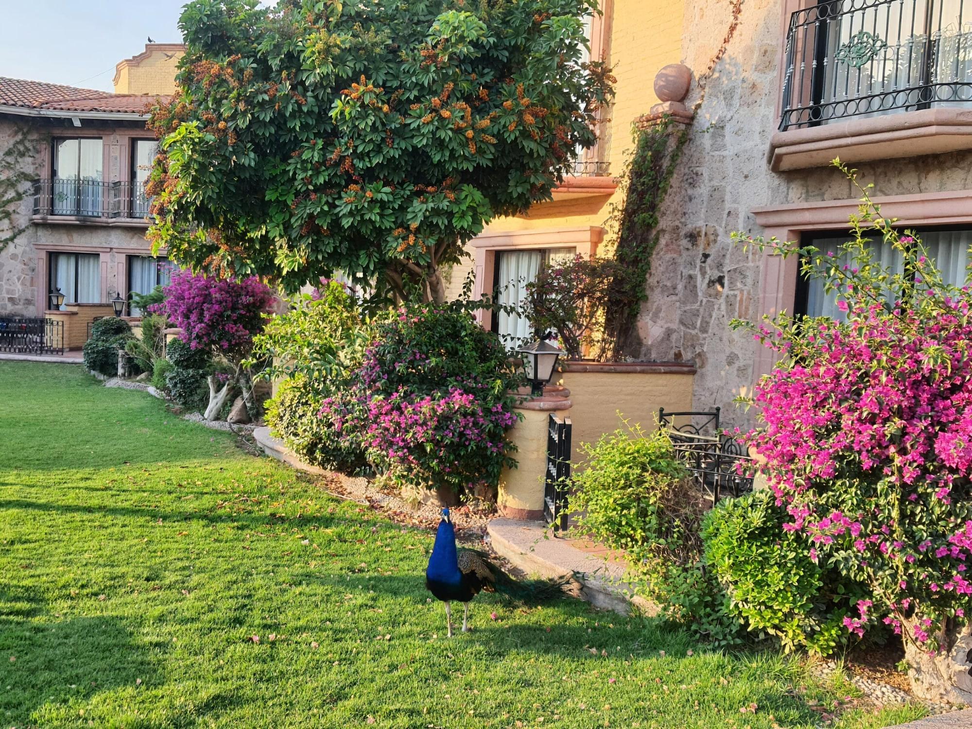 Gran Hacienda De La Noria