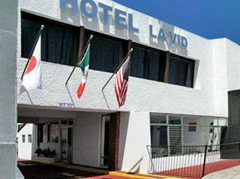 Lavid 3*