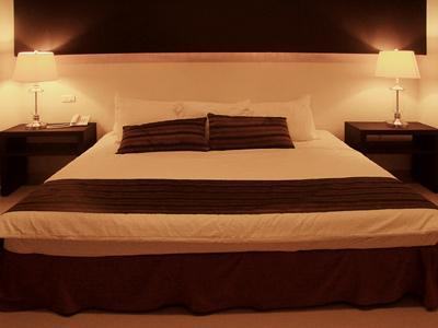 Art Hotel Aguascalientes
