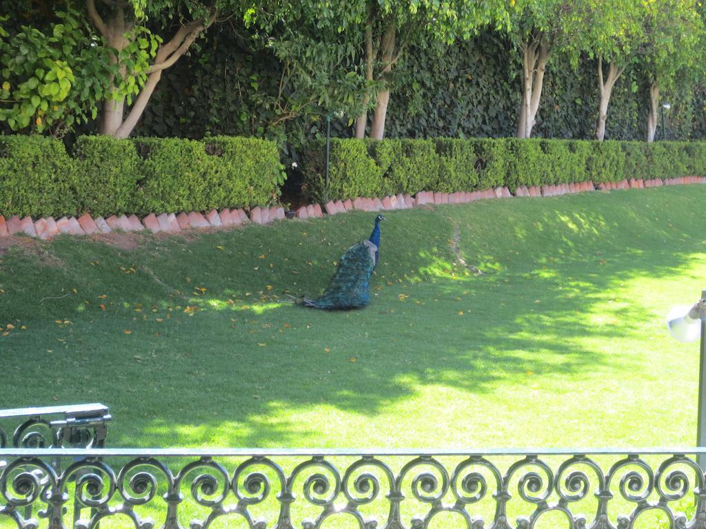 Gran Hacienda De La Noria