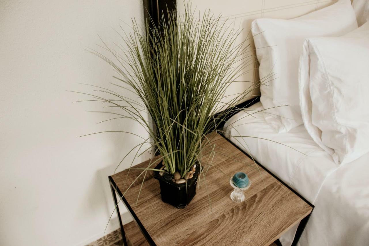 Apartamento Loft Fabio Aguascalientes