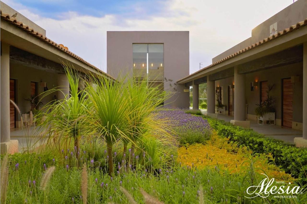 Alesia - Boutique & Aguascalientes