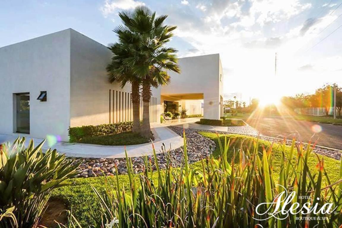 Alesia - Boutique & Hotel