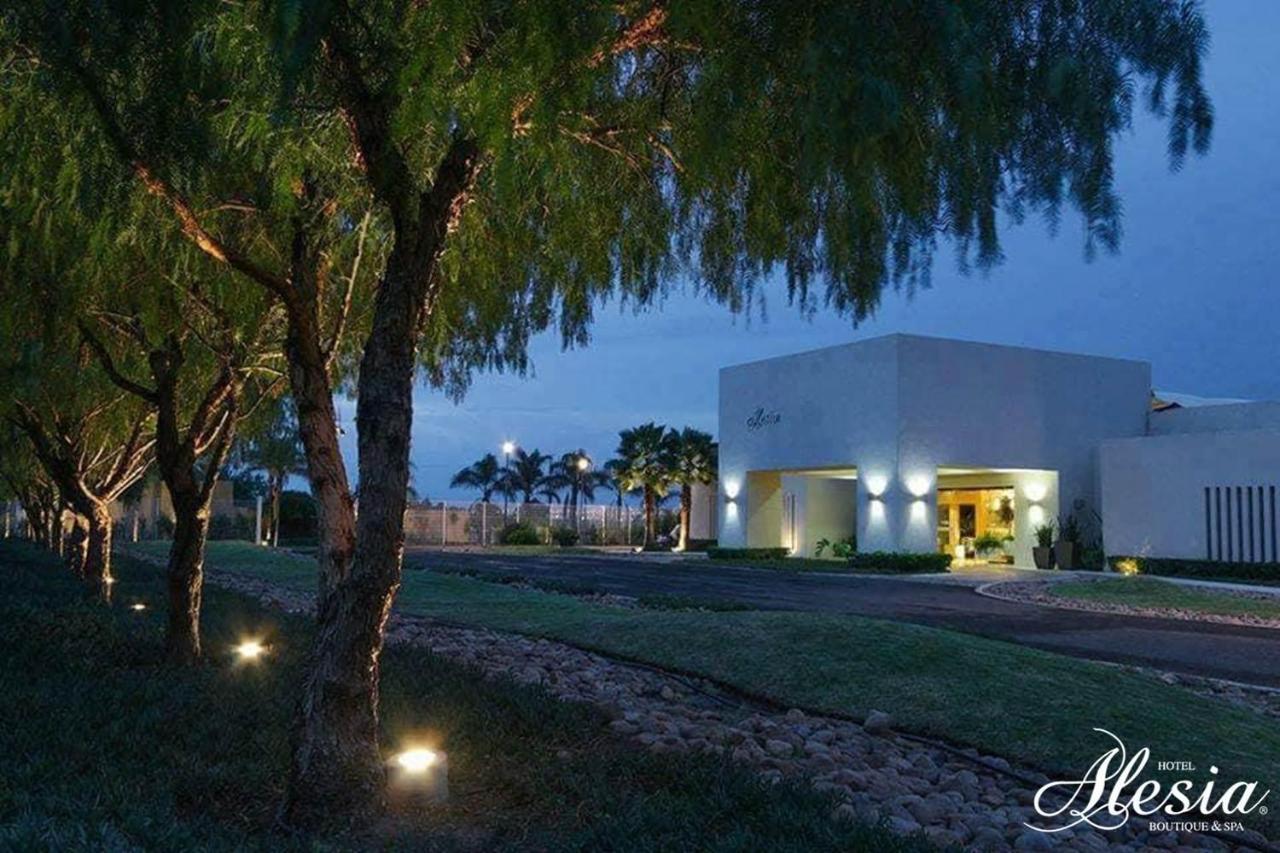 Hotel Alesia - Boutique &