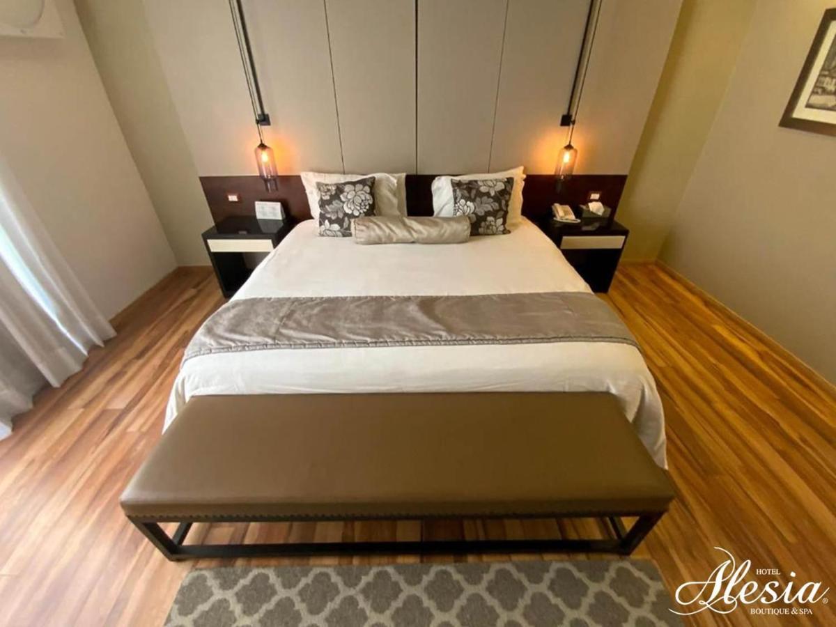 Hotel Alesia - Boutique & Aguascalientes