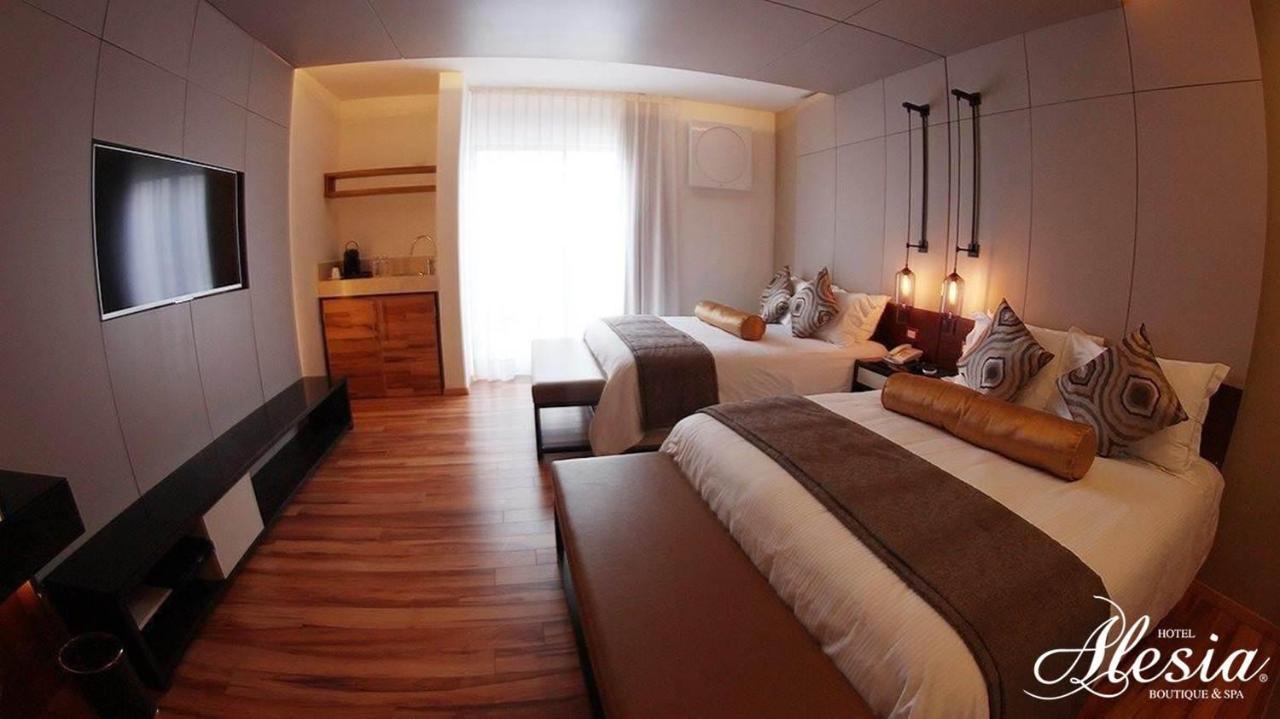 Hotel Alesia - Boutique & Aguascalientes