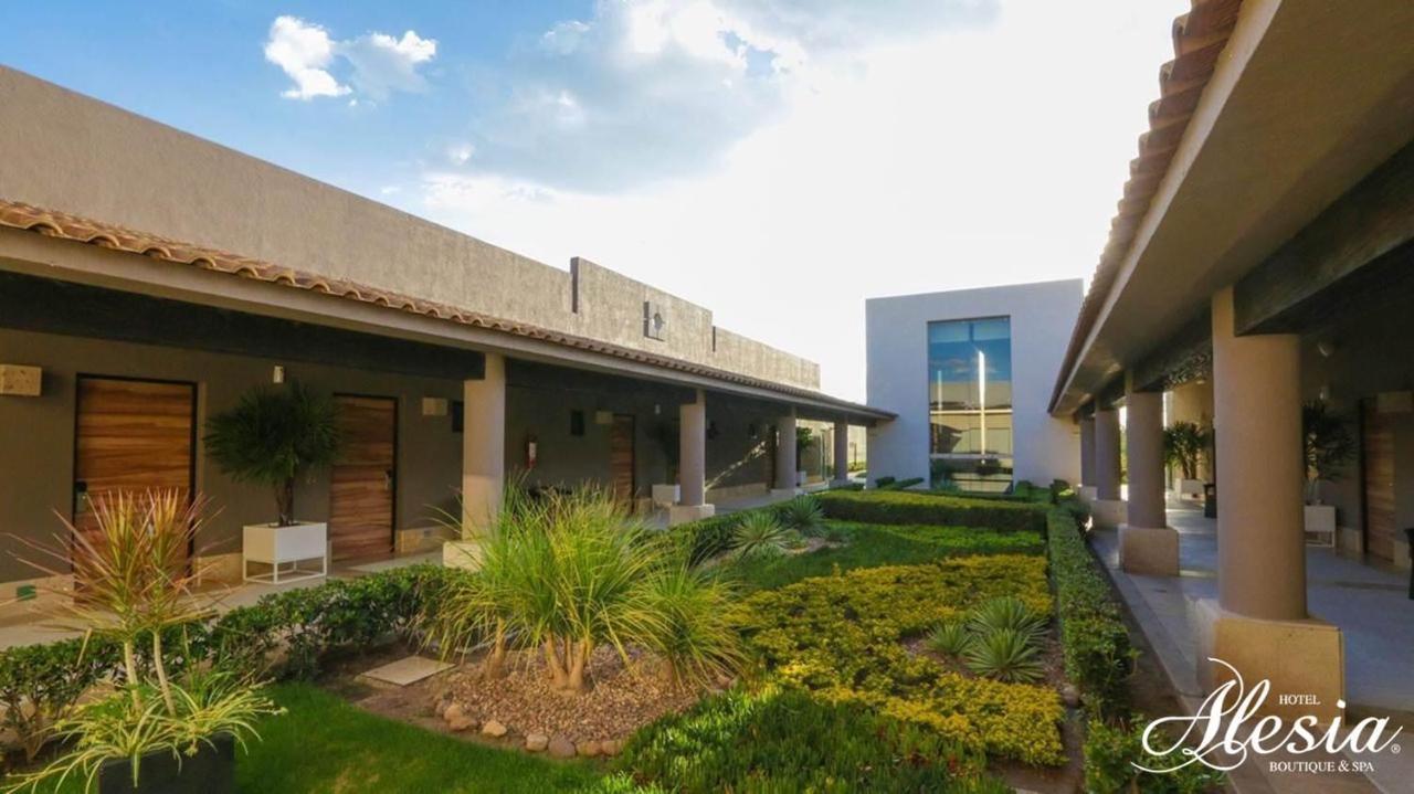 Hotel Alesia - Boutique & Aguascalientes