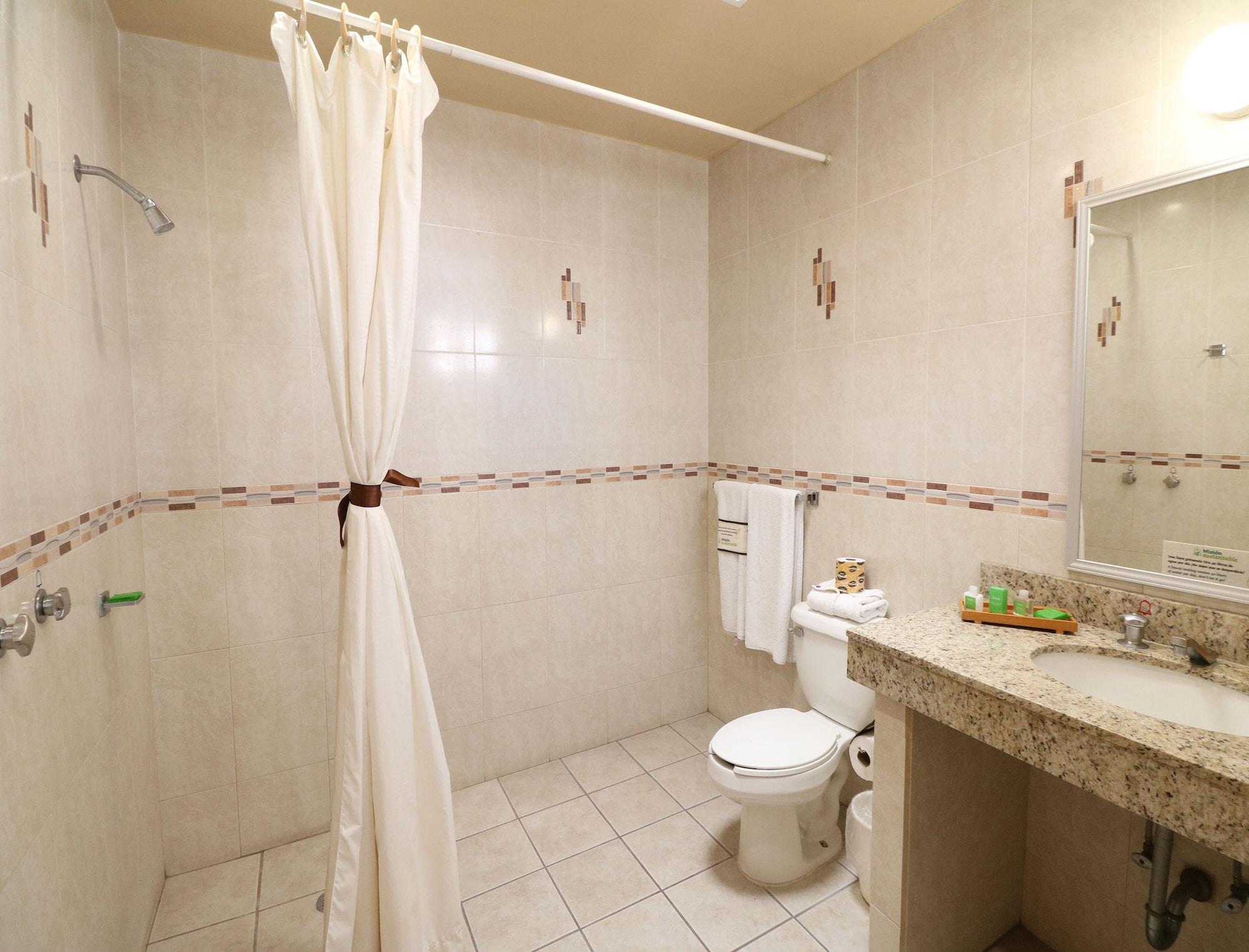 Hotel Mision Zona Sur 4*