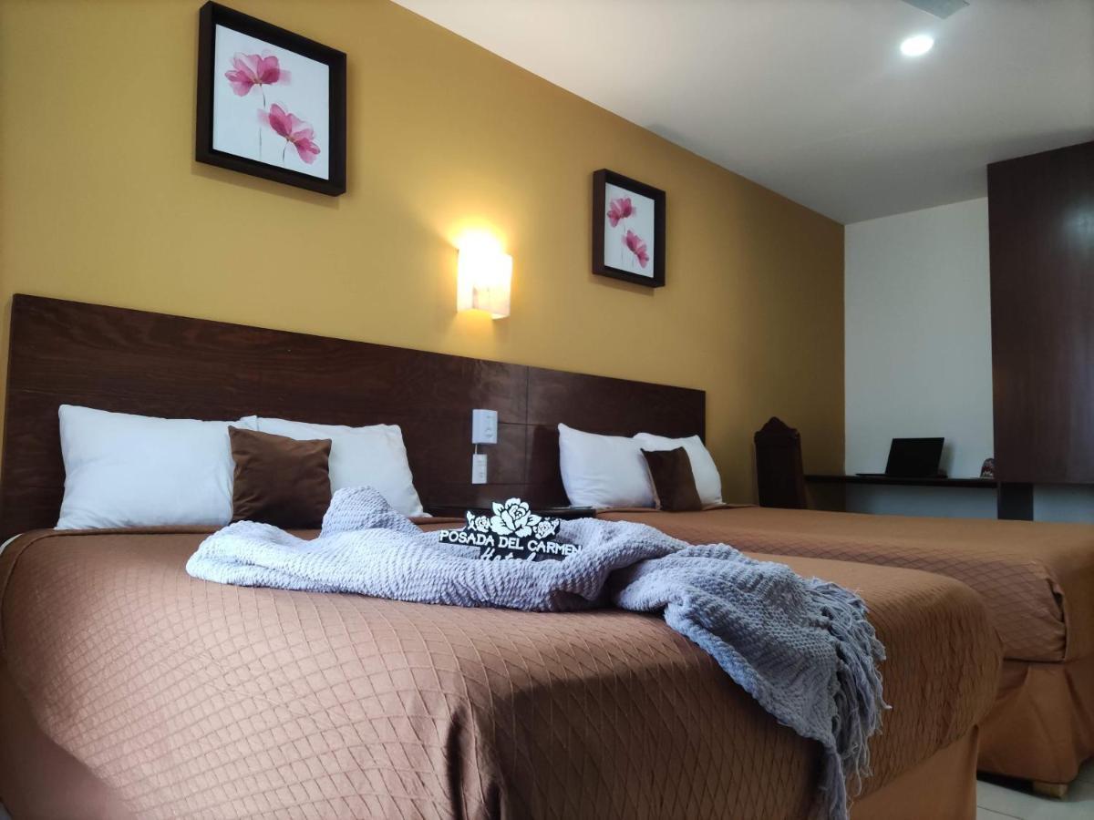 Hotel Del Carmen Aguascalientes
