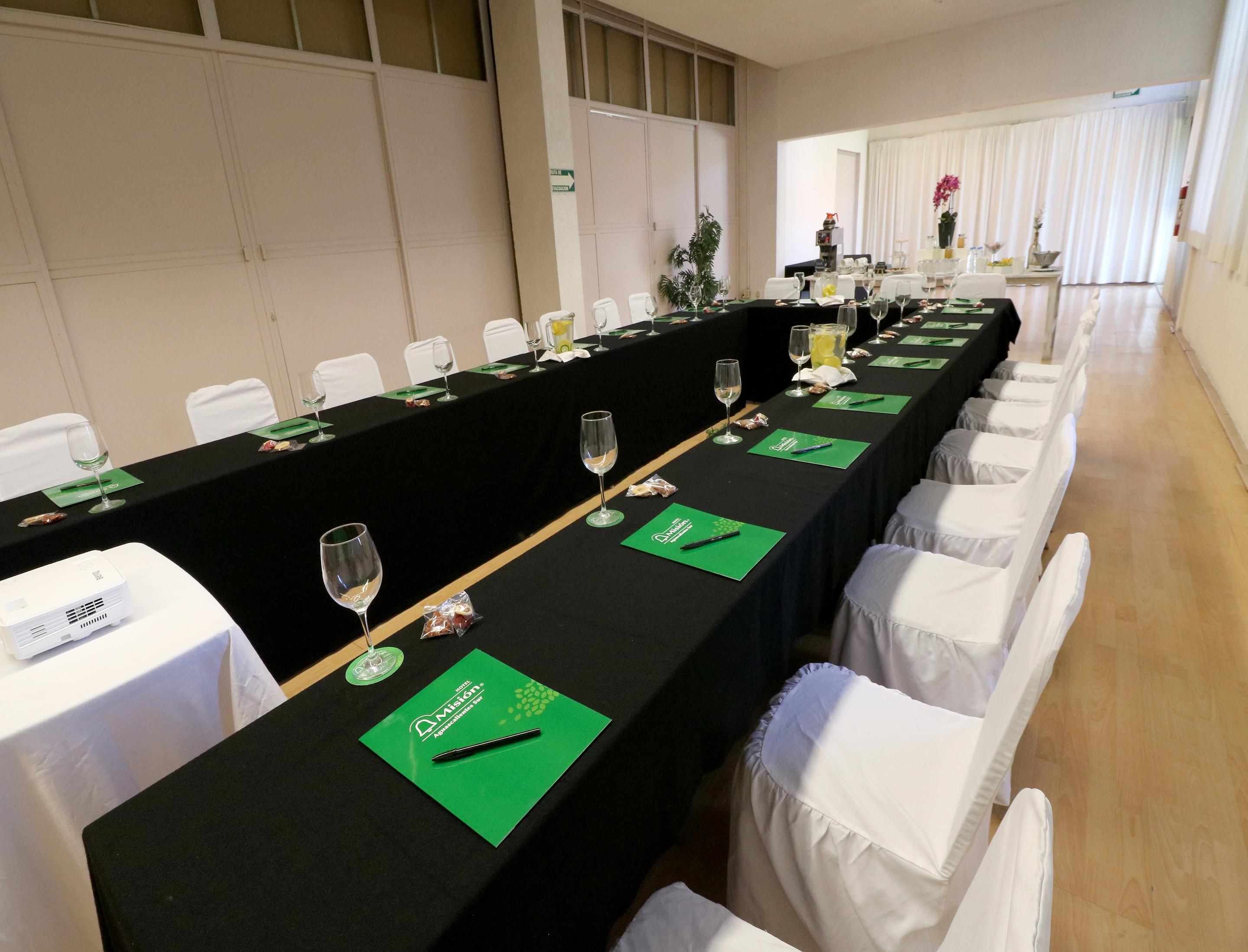 Mision Zona Sur 4* Aguascalientes
