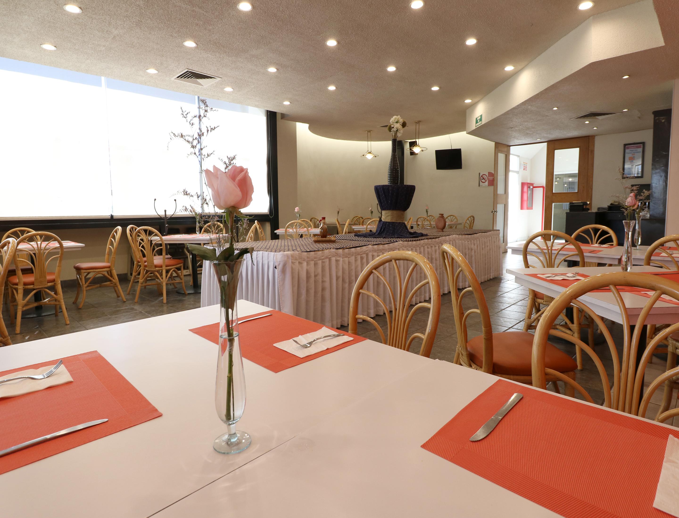 Hotel Mision Express Zona Norte 3*