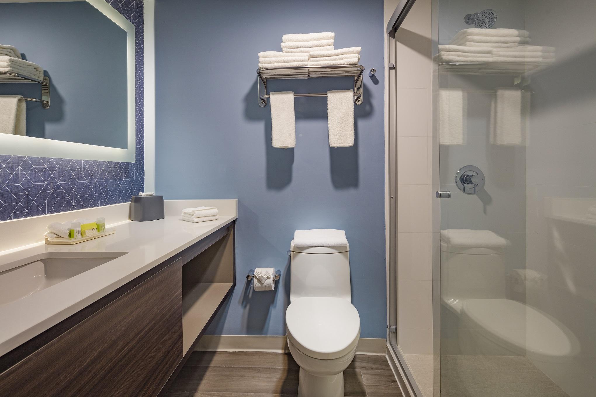 Inn&suites - Aguascalientes, An Ihg 4* Aguascalientes