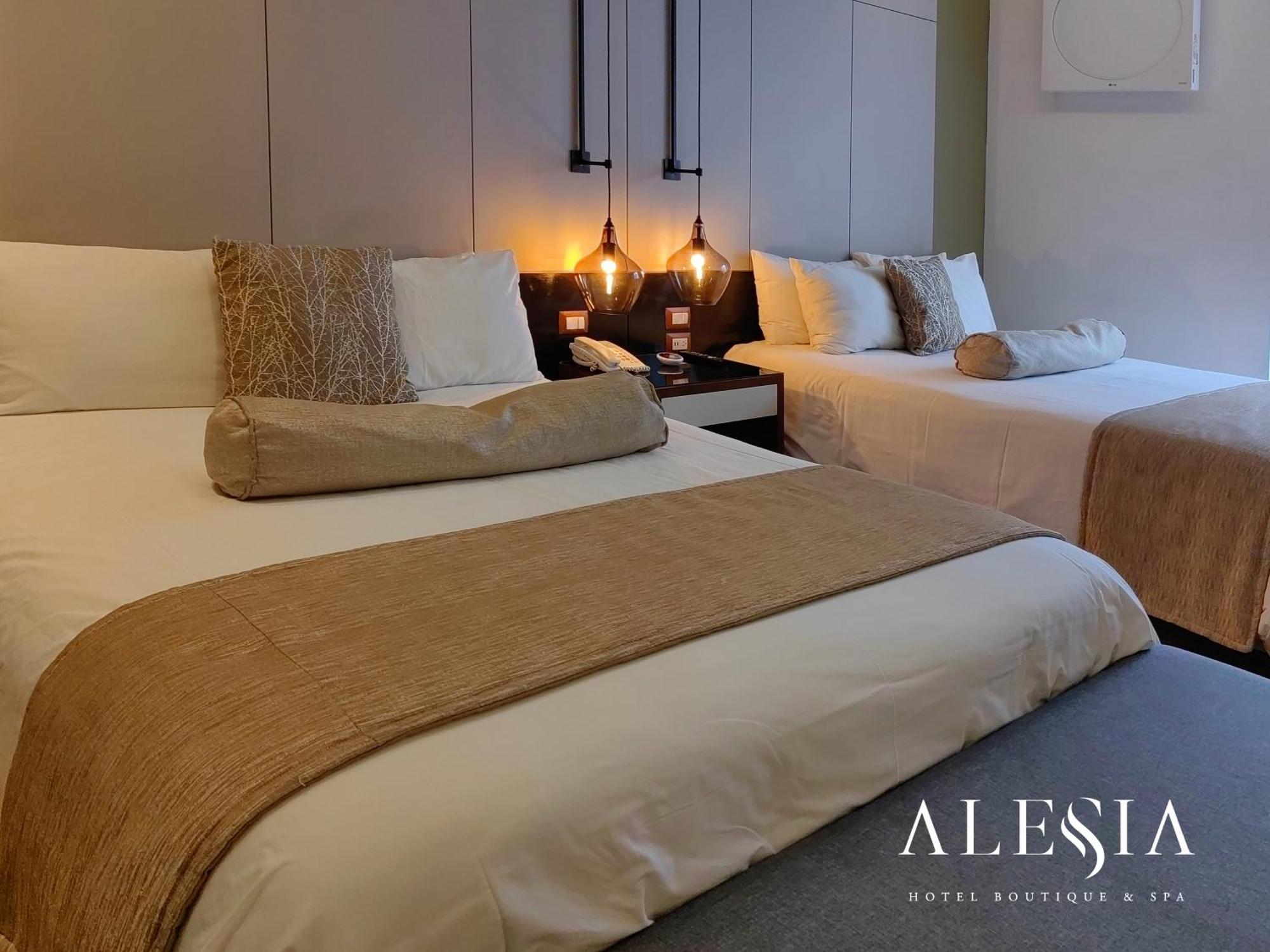 Hotel Alesia - Boutique & Aguascalientes