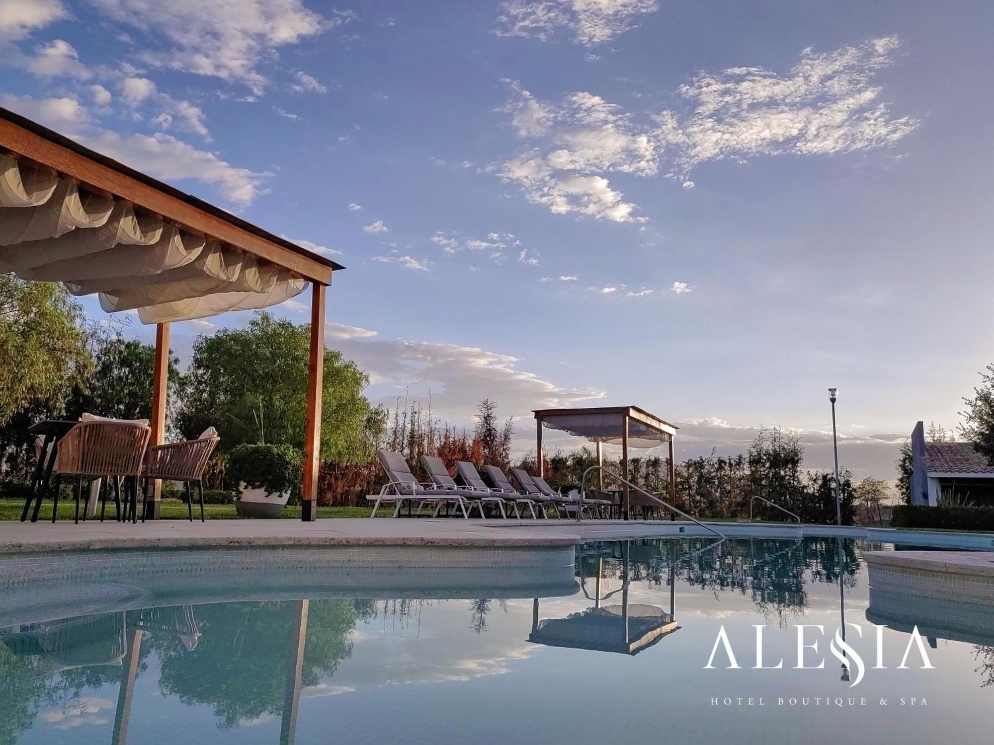 Alesia - Boutique &