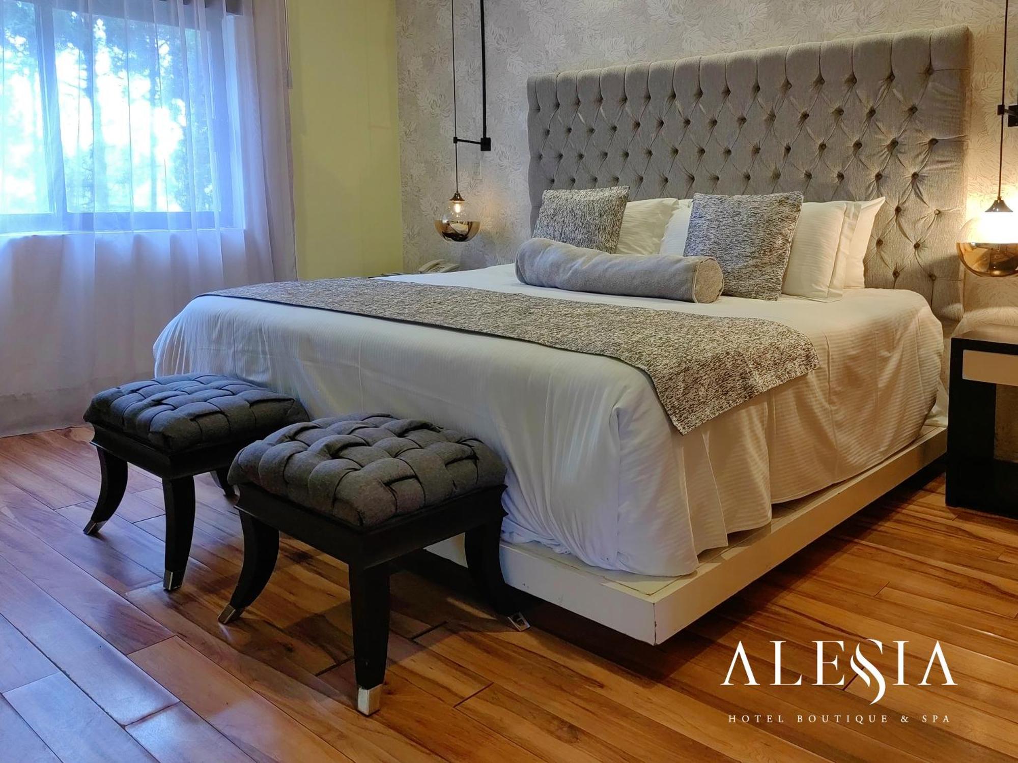 Alesia - Boutique & Hotel Aguascalientes