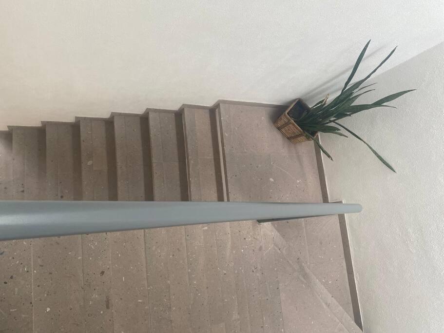 Сasa de vacaciones Casa Al Norte Moderna Impecable Ejecutiva Y Familiar *