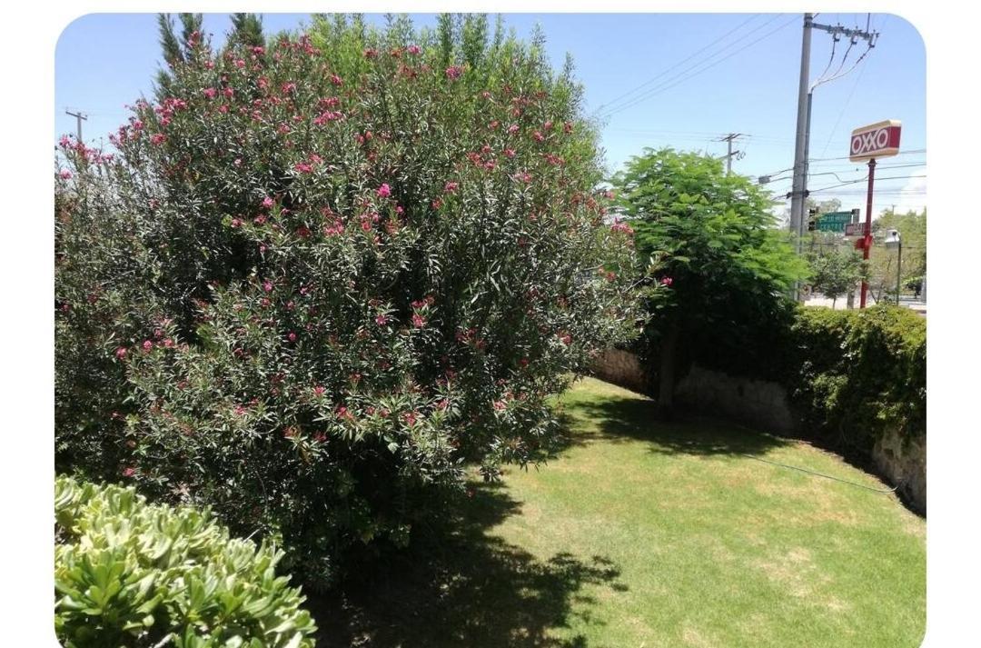 Comfortable And Homely Apartamento Aguascalientes