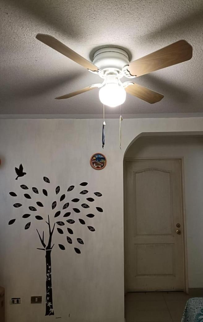 Comfortable And Homely *