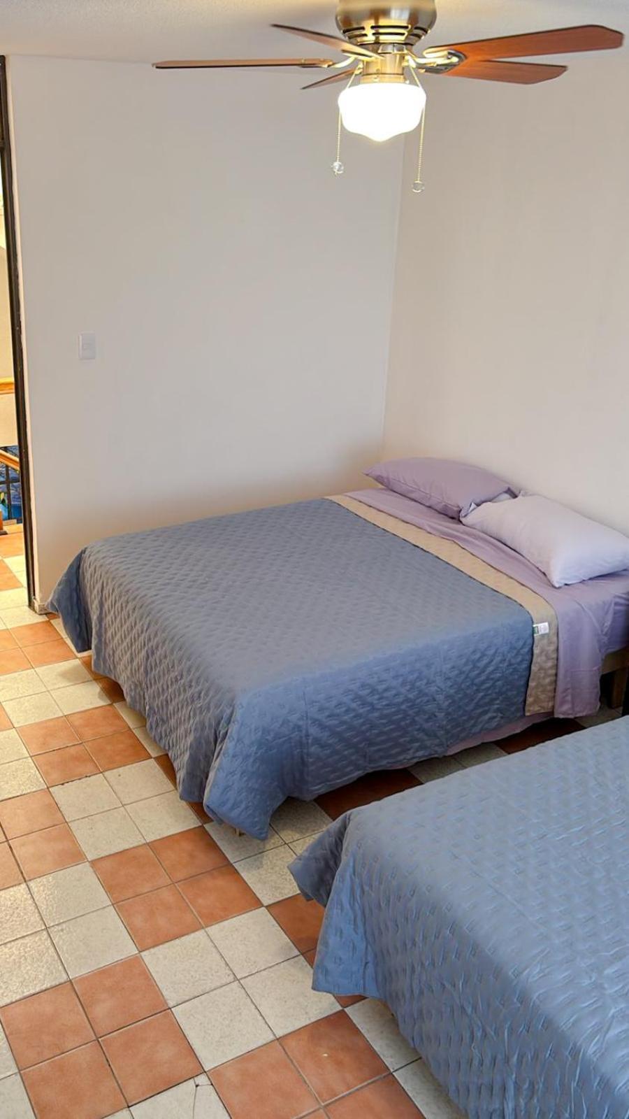Homestay Gardenia Roof Hostel Aguascalientes