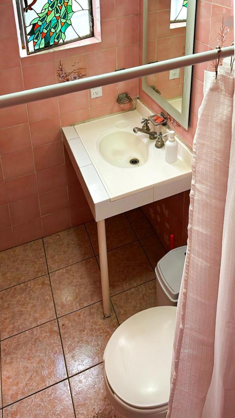 Gardenia Roof Hostel * Aguascalientes