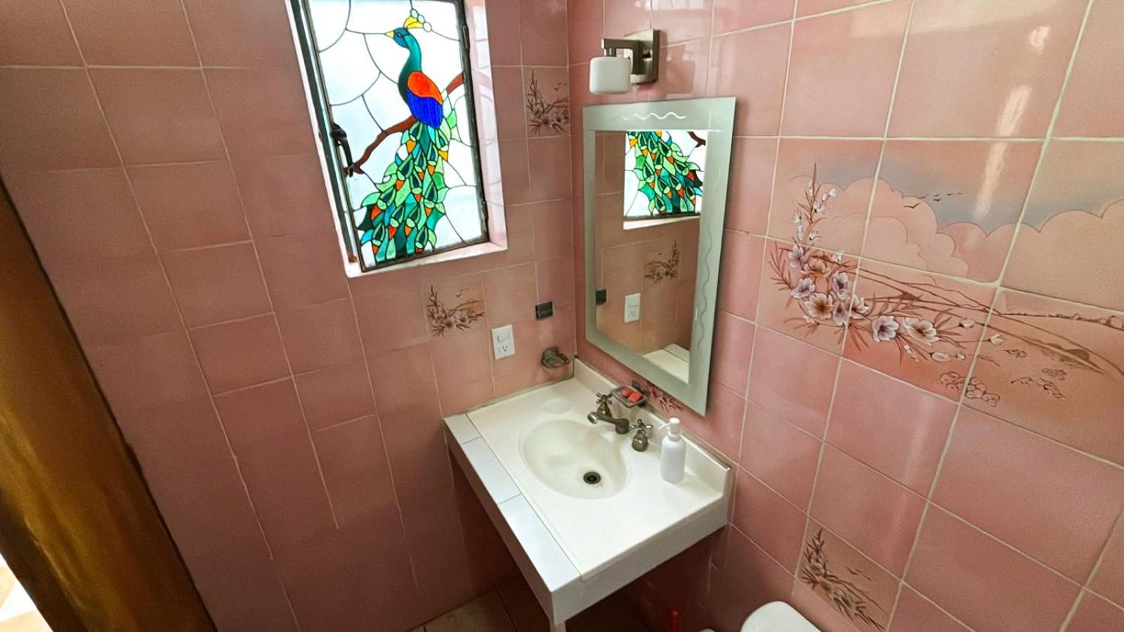 Gardenia Roof Hostel *