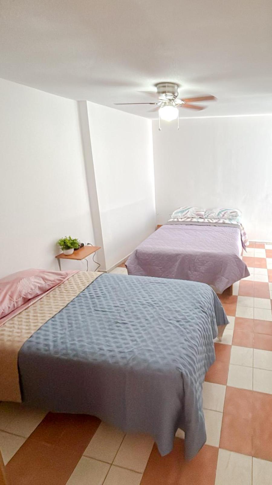 Gardenia Roof Hostel * Aguascalientes