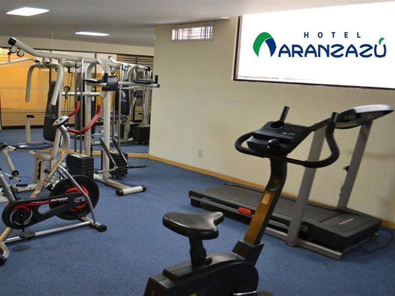 Aranzazu Plaza Kristal Hotel 3*
