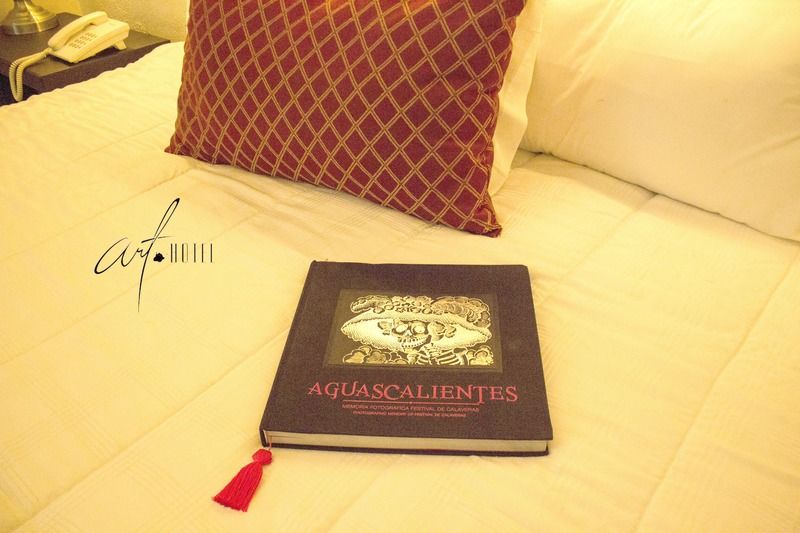 Art Hotel Aguascalientes