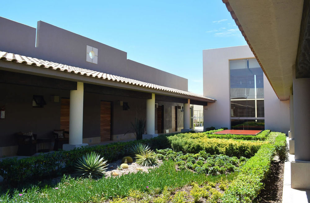 Hotel Alesia Boutique & Aguascalientes