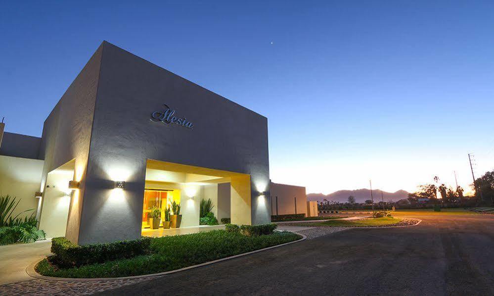 Hotel Alesia Boutique & 3*