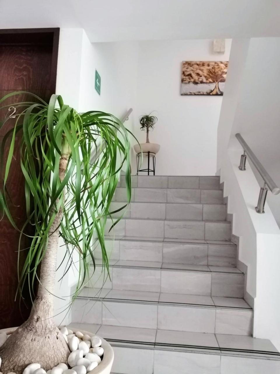 Del Carmen Hotel Aguascalientes