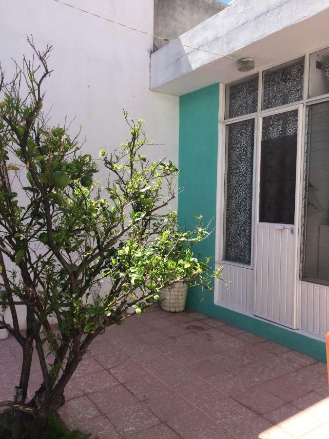 Green House Aguascalientes