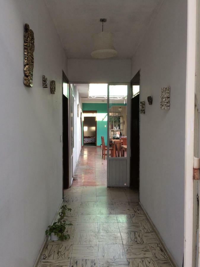 Green House